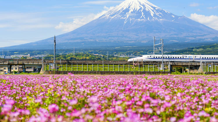 Shinkansen