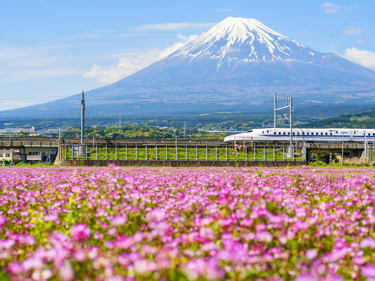 Shinkansen