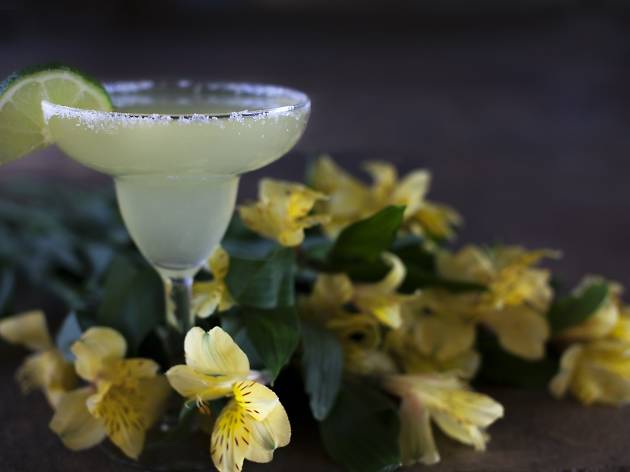 tres sitios para beber margaritas tres sitios para beber margaritas
