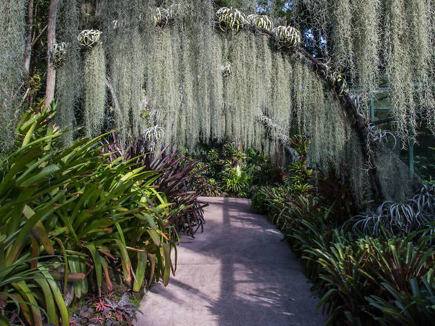 Largest botanical garden in world