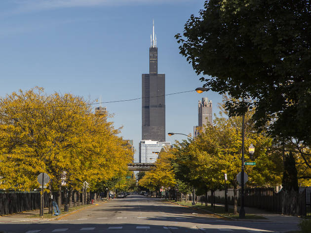 Fall in Chicago Fall in Chicago