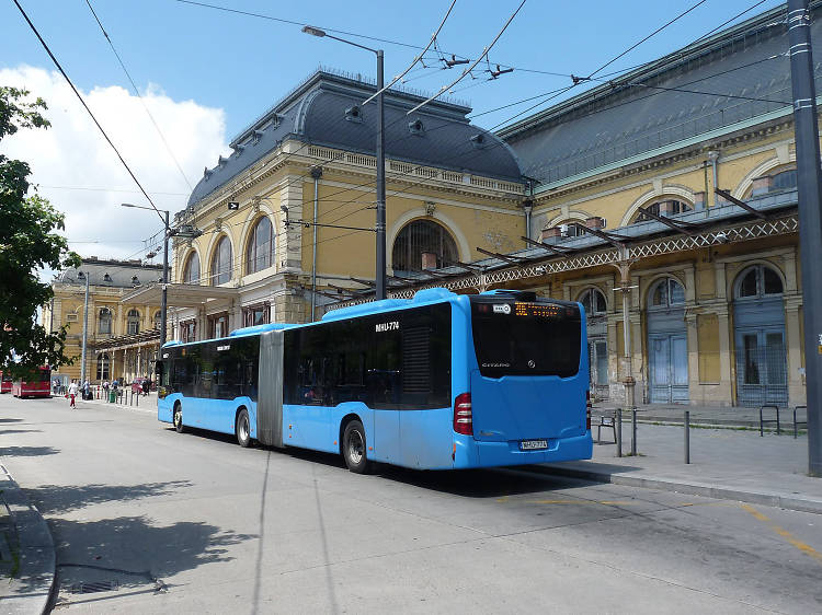 Bus and Trolleybus