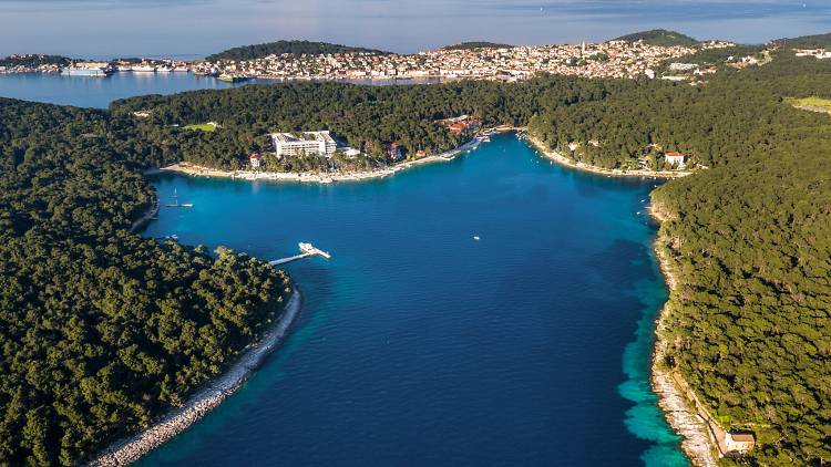 Lošinj: Čikat bay