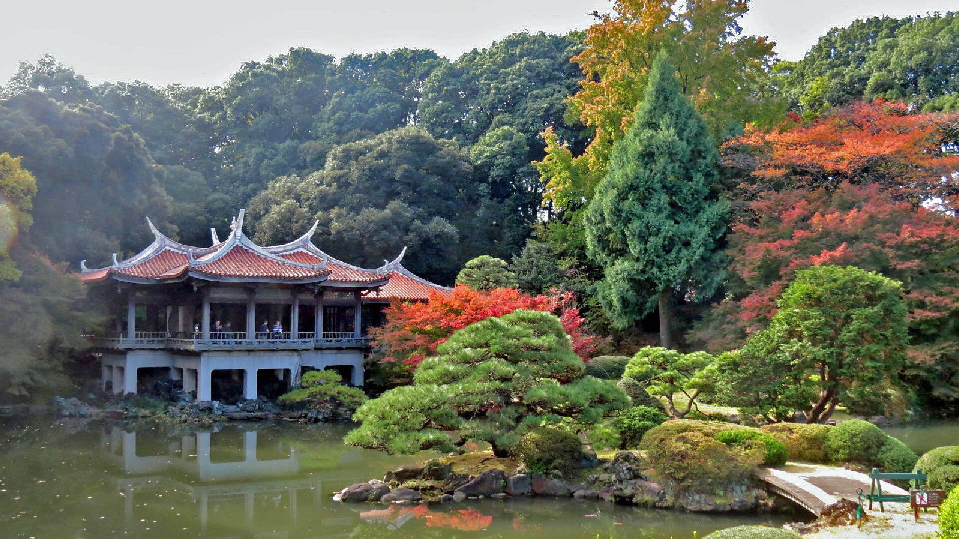 Shinjuku Gyoen National Garden | Things to do in Shinjuku-Sanchome, Tokyo