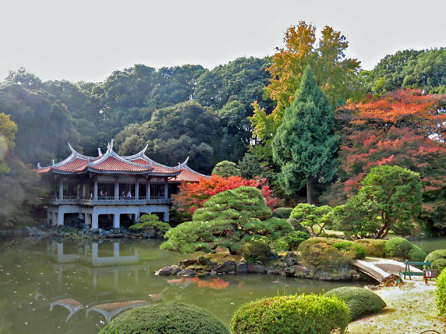 Shinjuku Gyoen National Garden Things To Do In Shinjuku Sanchome Tokyo