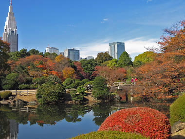 10 best parks, gardens and streets to see the autumn leaves in Tokyo