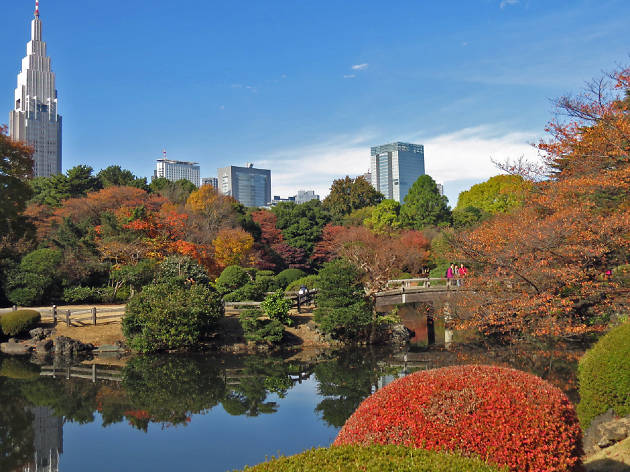 Shinjuku Gyoen National Garden Things To Do In Shinjuku Sanchome Tokyo