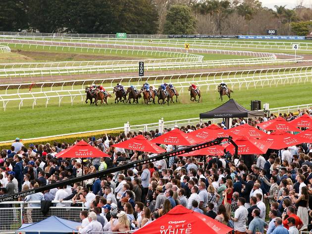 Colgate Optic White Stakes Day Colgate Optic White Stakes Day