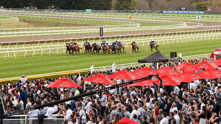 Colgate Optic White Stakes Day Things to do in Sydney