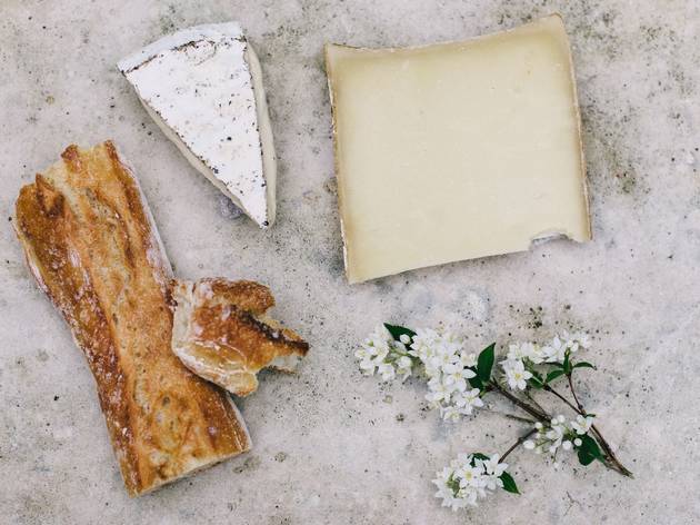 Vegan Cheese and Beer Pairing Vegan Cheese and Beer Pairing