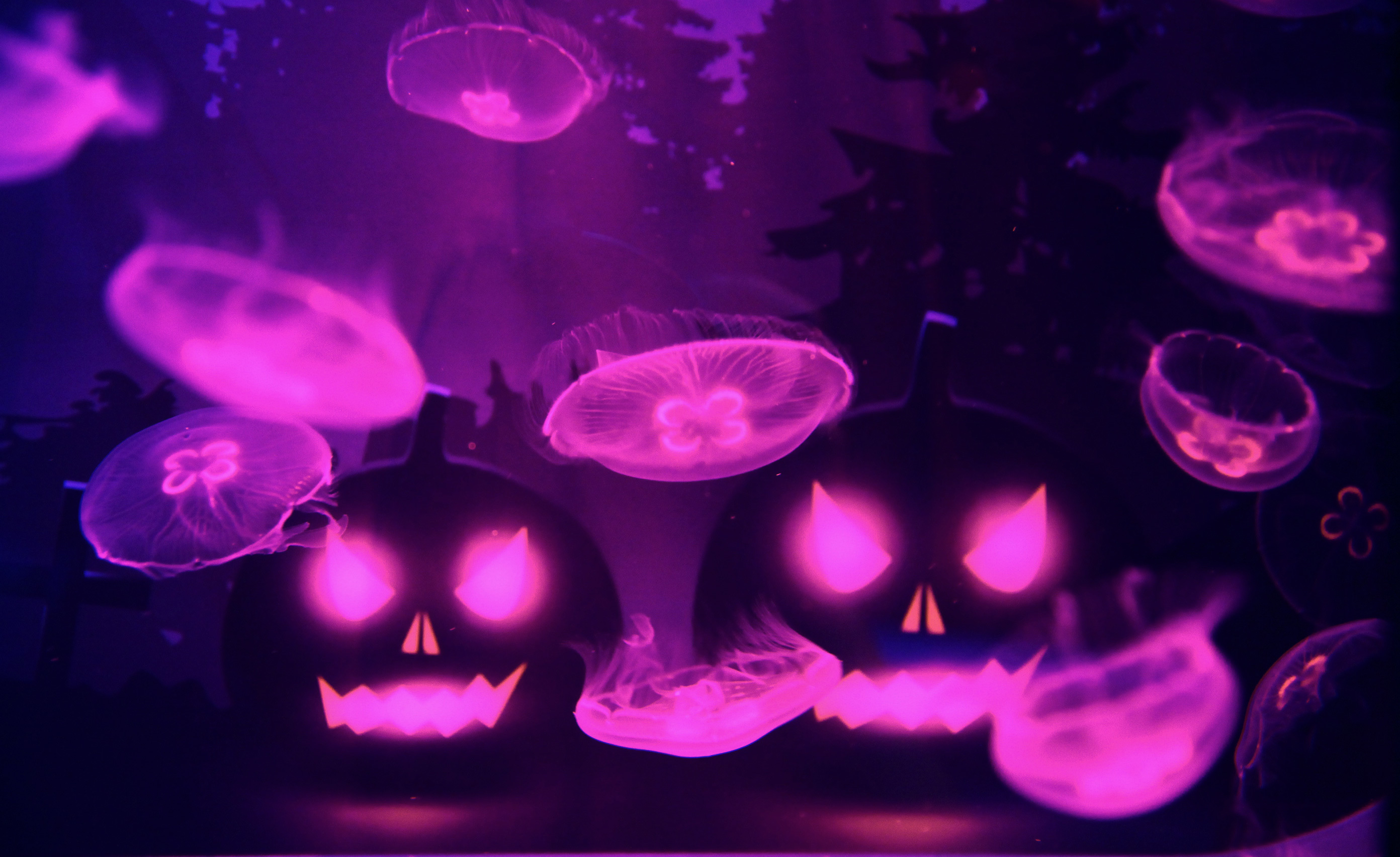 Halloween at Sumida Aquarium | Things to do Tokyo