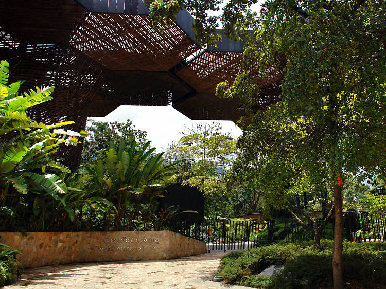 Joaquin Antonio Uribe Botanical Garden | Medellín, Colombia