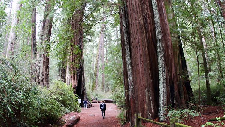 The 15 best California State Parks