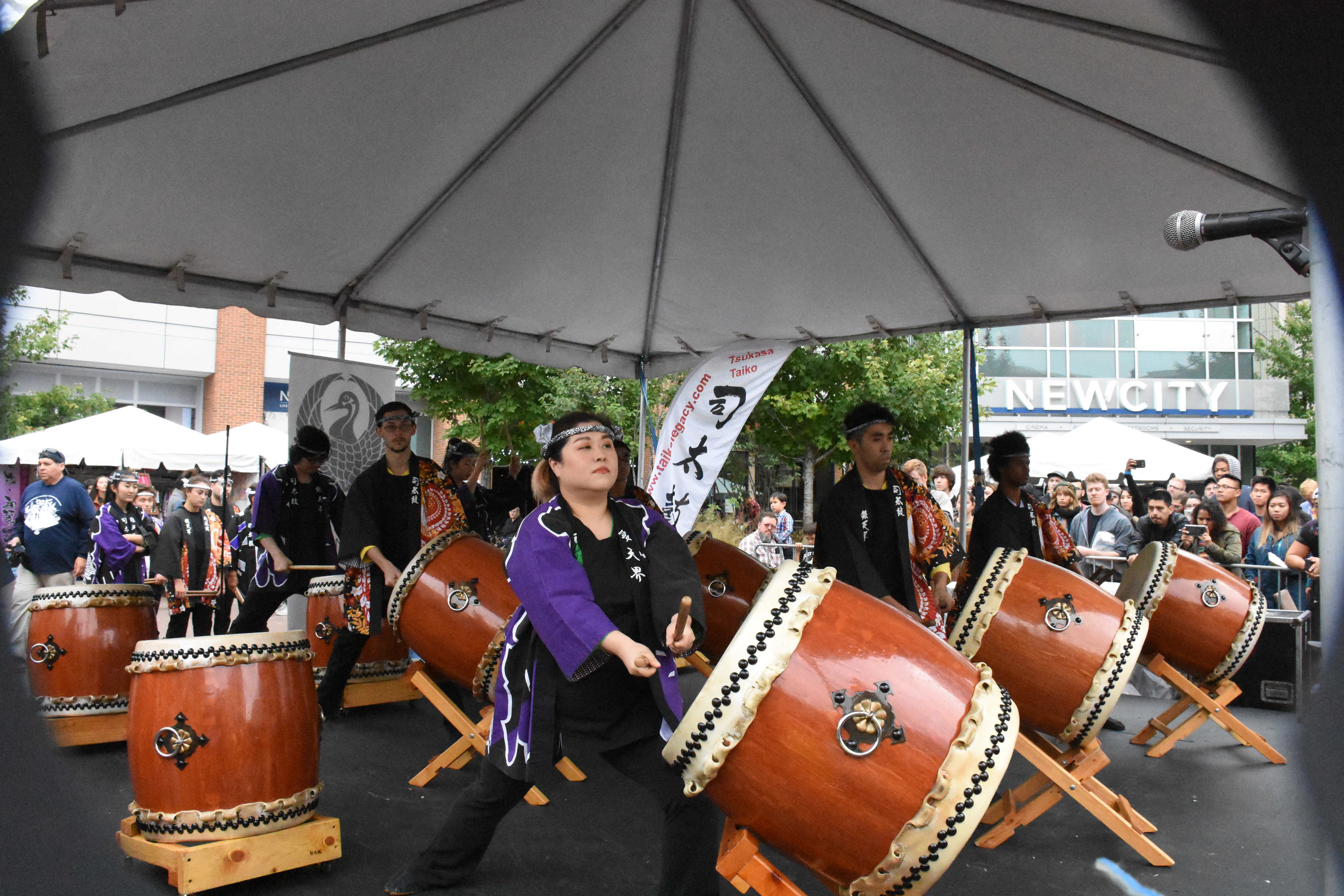 Chicago Japanese Matsuri Festival Things to do in Chicago