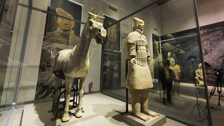 Qin Shi Huang exhibition Bangkok