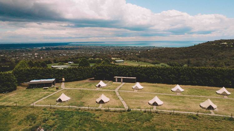 Aerial view of tents on Mornington Peninsula