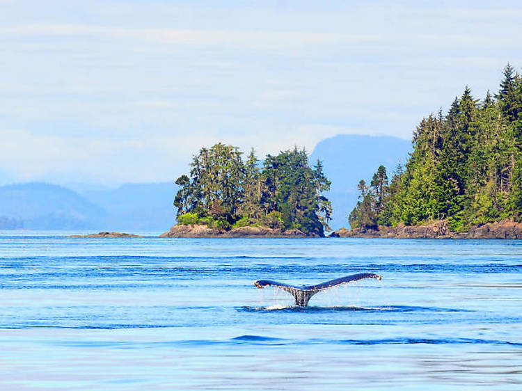 Vancouver Island