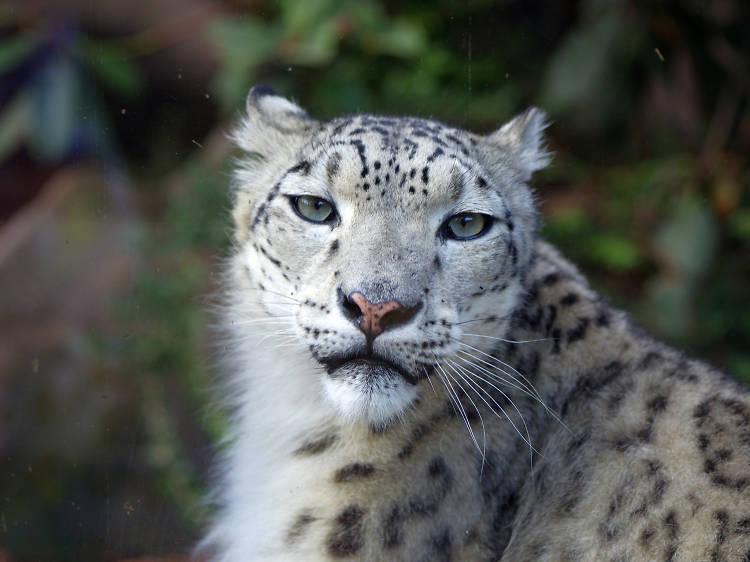 Get a dose of nature at the Jardin des Plantes