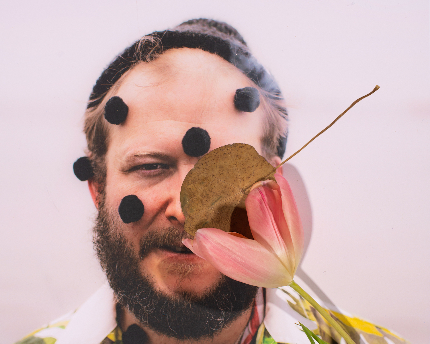 Bon Iver Feist Music in Chicago