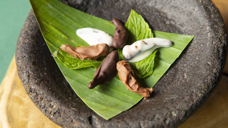 Chocolate-covered Locusts at Archipelago