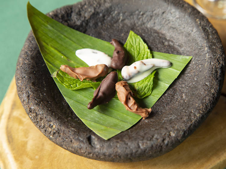 Chocolate-covered Locusts at Archipelago