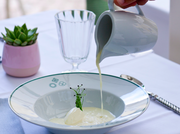 Vichyssoise Vichyssoise