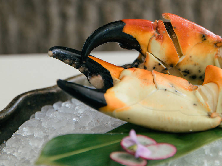 The best places to devour fresh stone crabs in Miami