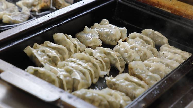 Gyoza Fes