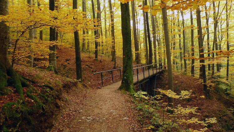 Medvednica mountain