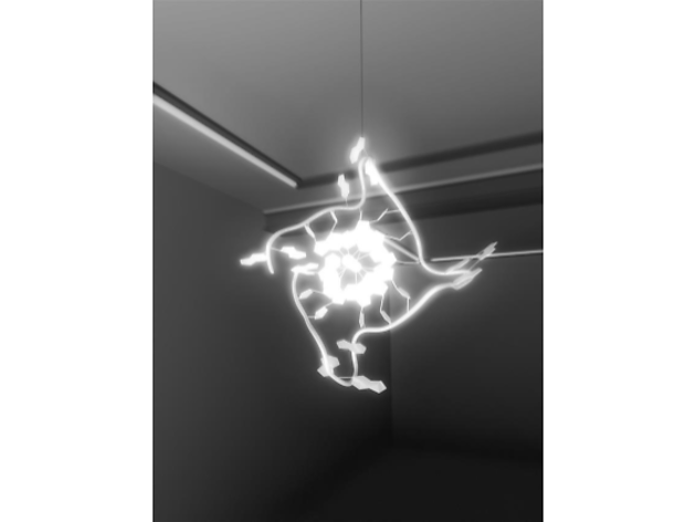 須賀悠介 個展|Modification of destiny 須賀悠介 個展|Modification of destiny