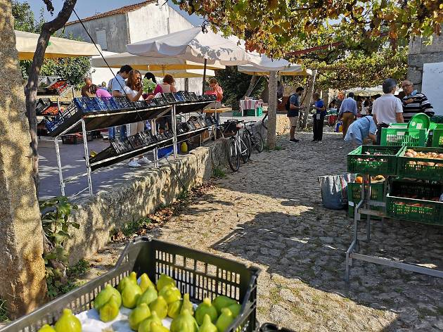 Mercado Biológico do Parque da Cidade Mercado Biológico do Parque da Cidade