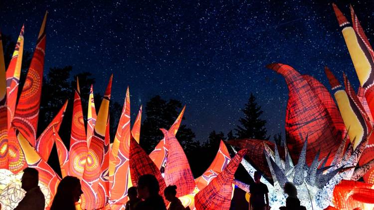 Red Air Real Festival (Photograph: Supplied)