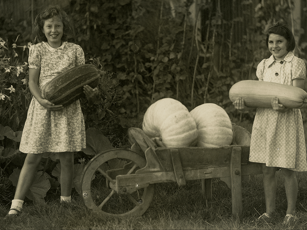 Squash and Pumpkin Festival Squash and Pumpkin Festival