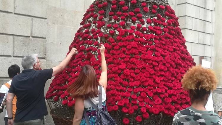 Una flor, un desig