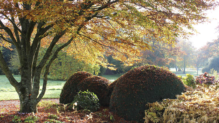 West Dean Gardens, Sussex