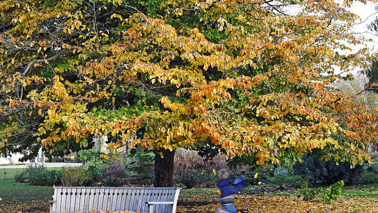 Oxford Botanic Garden, Oxfordshire