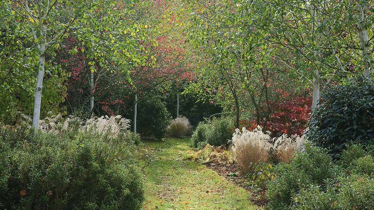 Marks Hall Garden and Arboretum, Essex