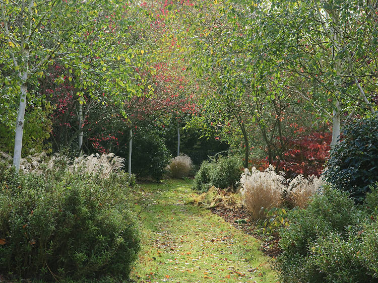 Marks Hall Garden and Arboretum, Essex