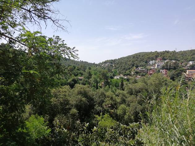 La Floresta La Floresta