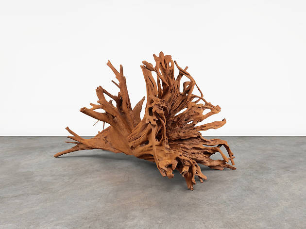 Ai Weiwei: Roots ‘Roots’ at Lisson Gallery