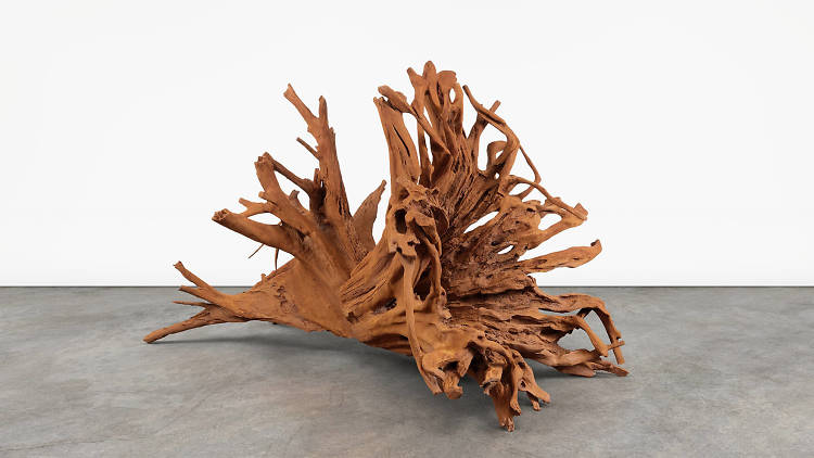 ‘Roots’ at Lisson Gallery