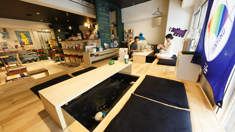 Footbath Cafe & Bar Donyoku