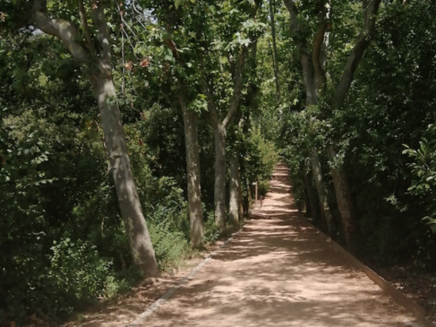 Collserola Collserola