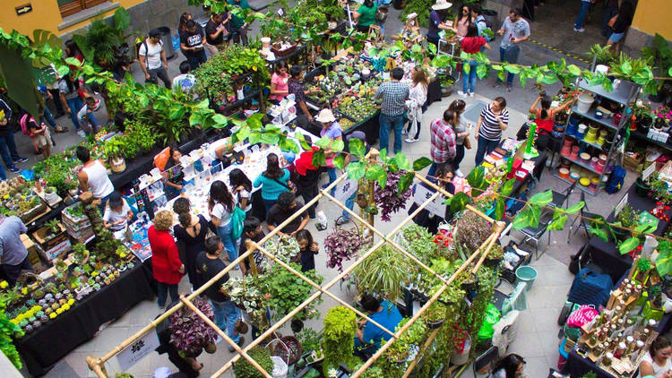 Festival de Jardín (Foto: Cortesía Festival de Jardín)