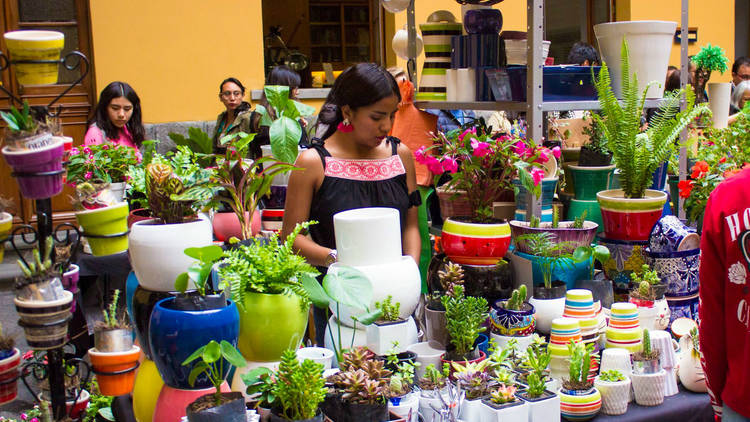 Festival de Jardín (Foto: Festival del Jardín)