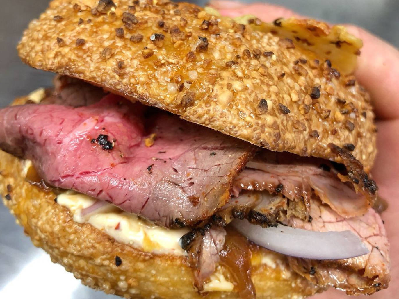 Best Bagels in Boston 11 Destinations for PicturePerfect Bagels