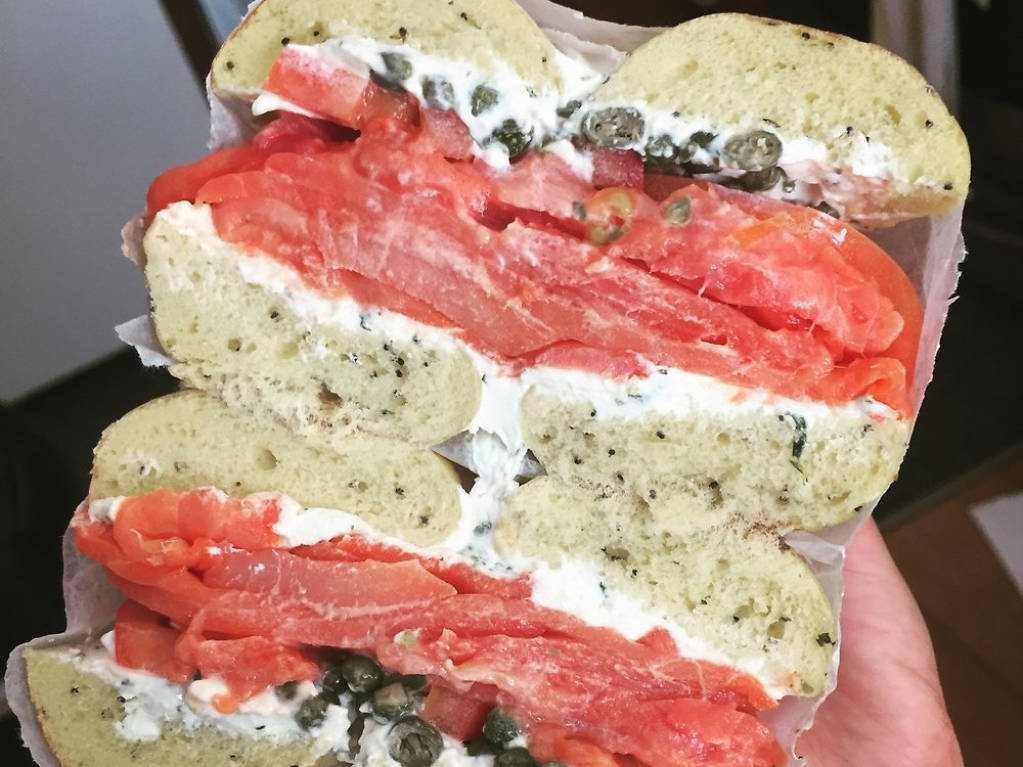 Best Bagels in Boston 11 Destinations for PicturePerfect Bagels