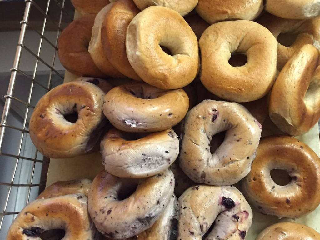 Best Bagels in Boston 11 Destinations for PicturePerfect Bagels