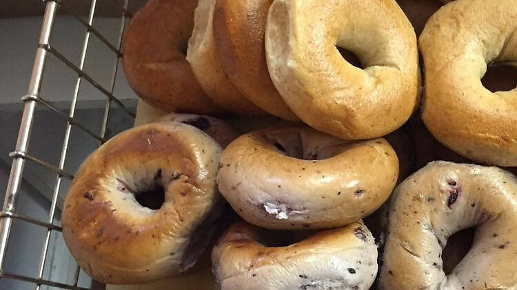 Katz Bagel Bakery