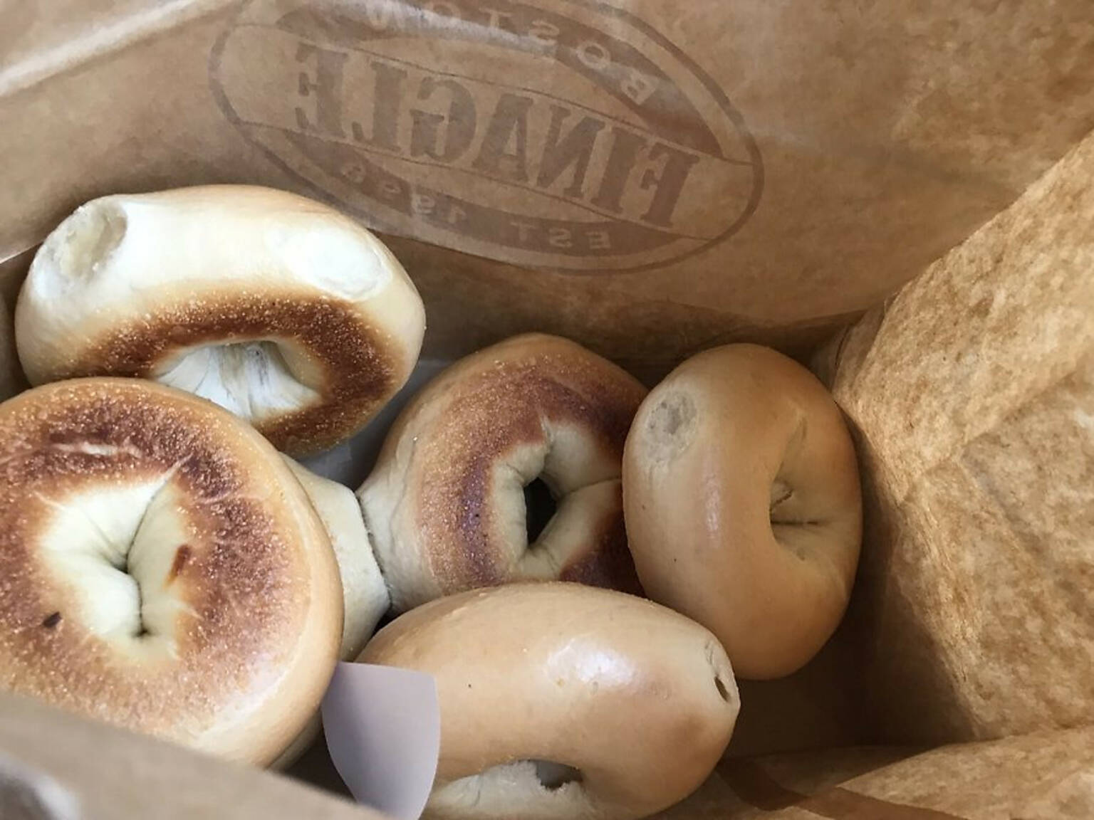 Best Bagels in Boston 11 Destinations for PicturePerfect Bagels